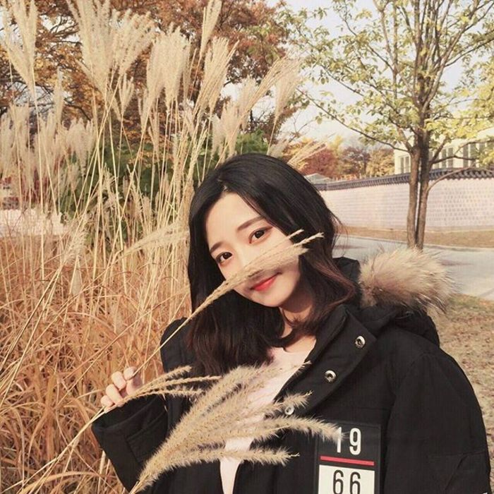 平田薰（饰 关原妙） - 日剧双语字幕在线观看 - 网络影视